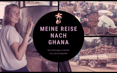 Faires Palmöl: Meine Reise nach Ghana im Film